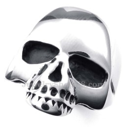 Titanium Schedelring