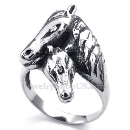 Titanium Paardenring