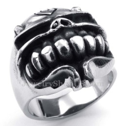 Titanium Schedelring