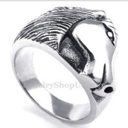 Titanium Paardenhoofd Ring