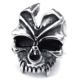 Titanium Schedelring