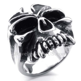 Titanium Schedelring