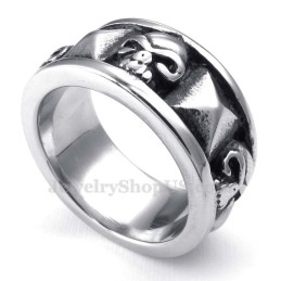 Titanium Schedelring