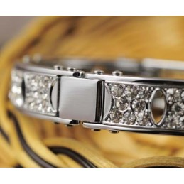 Heren Titanium Diamanten Armbanden