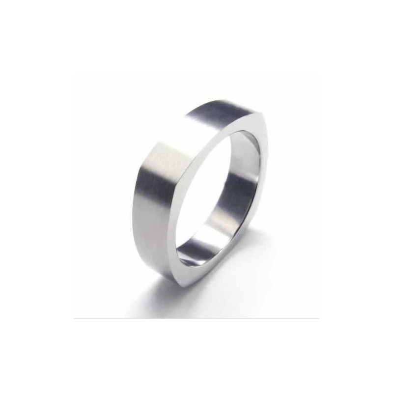 5 Mm Unisex Ring Van Puur Titanium 5 Mm Unisex Ring Van Puur Titanium