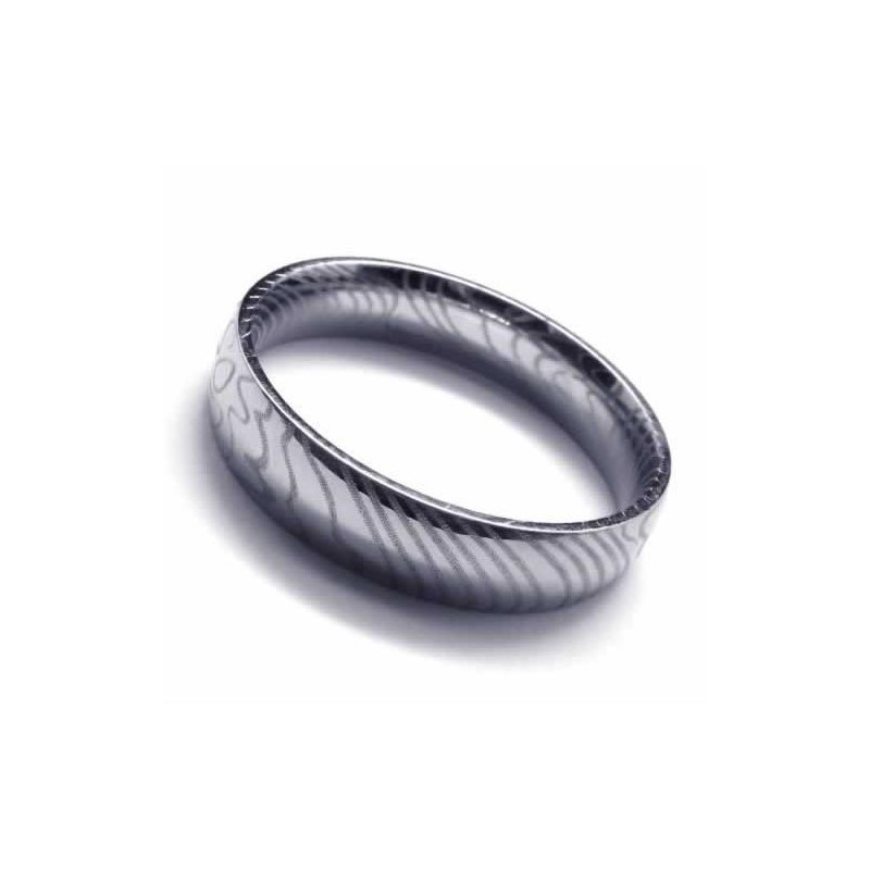 4 Mm Zilveren Damesring Van Titanium 4 Mm Zilveren Damesring Van Titanium