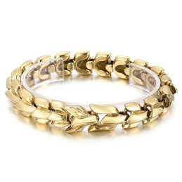Coole Vacuümvergulde Multicolor Titanium Armband Voor Heren