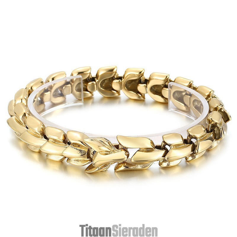 Coole Vacuümvergulde Multicolor Titanium Armband Voor Heren Coole Vacuümvergulde Multicolor Titanium Armband Voor Heren