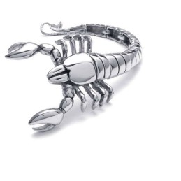 Schorpioendier Gepolijst Titanium Armband