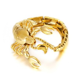 Coole Gouden Schorpioen Titanium Armband Voor Heren