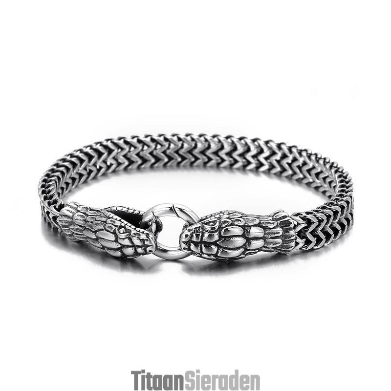 Vintage Cool Fashion Dubbelkoppige Slang Titanium Armband Voor Heren Vintage Cool Fashion Dubbelkoppige Slang Titanium Armband Voor Heren