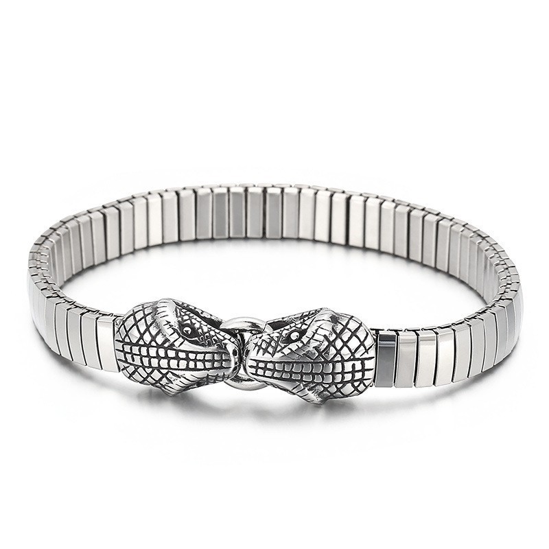 Coole Dubbele Slangenkop Chique Stijl Titanium Armband Voor Mannen