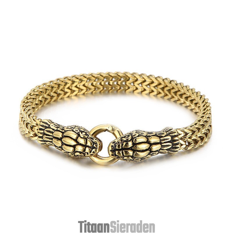 Coole Vintage Chique Stijl Dubbelzijdige Slang Titanium Armband Voor Heren