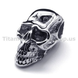 Hanger Met Schedelontwerp Van Puur Titanium - Gratis Ketting