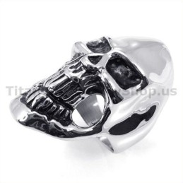 Titanium Schedelring