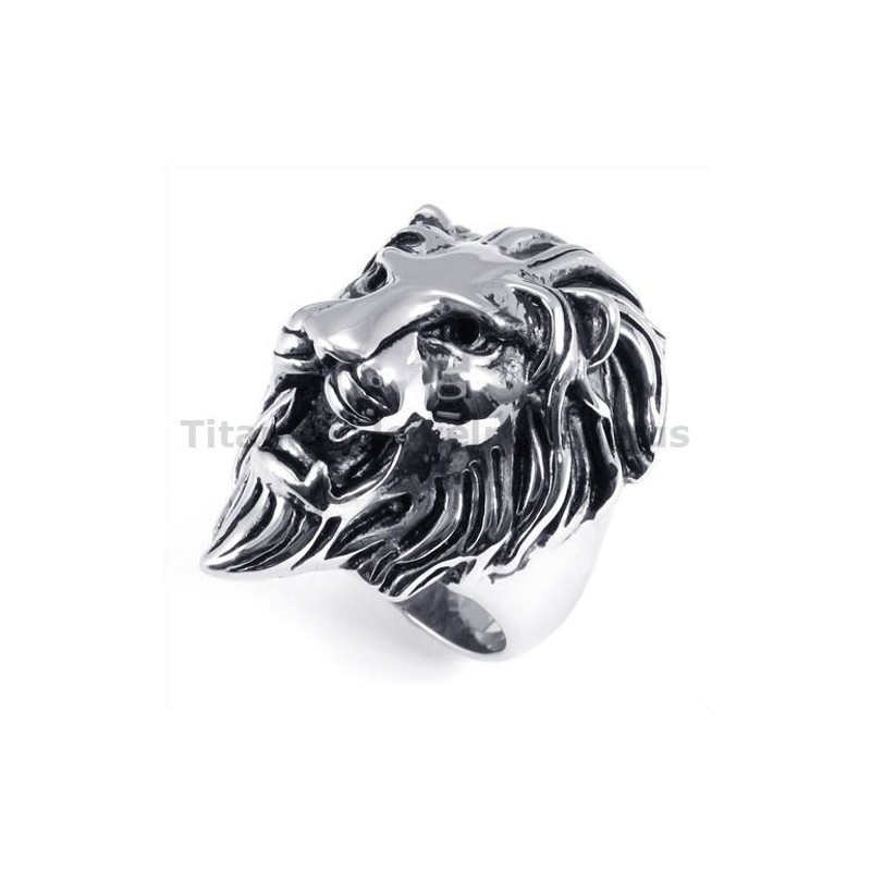 Leeuwen Titanium Ring