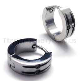 Zilveren Titanium Lus Oorbellen