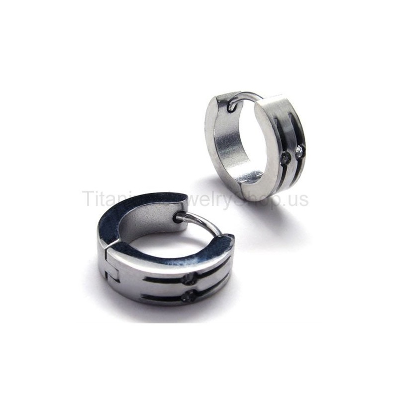 Zilveren Titanium Lus Oorbellen