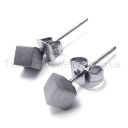 Zilveren Roos Titanium Oorbellen