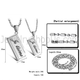 Titanium Zilveren Lovers Hangers Met Gratis Kettingen C624