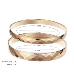 Tungsten Rosegoud Hoogglans Bangle C892