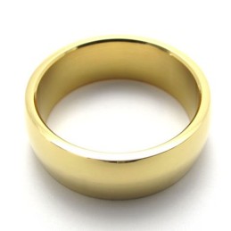 Gouden Gepolijste Titanium Ring
