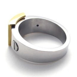 Gouden Accent Titanium Ring