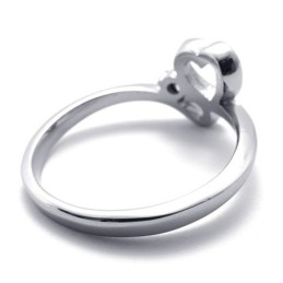 Diamanten Dames Titanium Ring