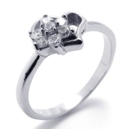 Diamanten Titanium Ring