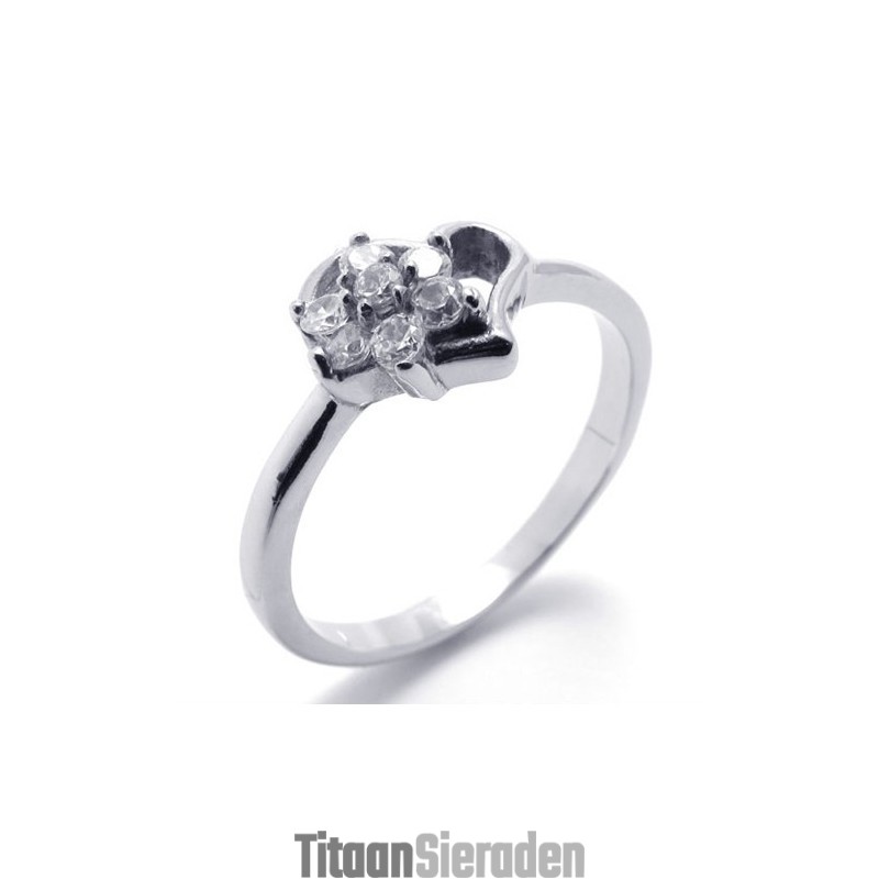 Diamanten Titanium Ring Diamanten Titanium Ring