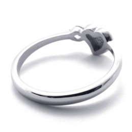 Diamanten Titanium Ring Voor Vrouwen
