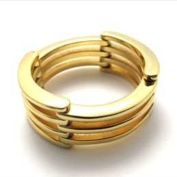 Gouden Puzzel Titanium Ring