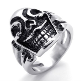 Schedel Titanium Ring