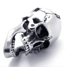 Schedel Titanium Hanger