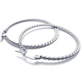 Ring Vlecht Titanium Oorbellen