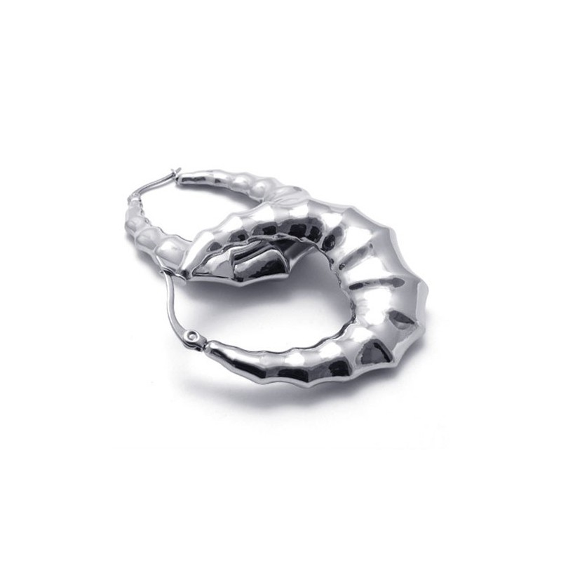 Hoorn Titanium Oorbellen Hoorn Titanium Oorbellen