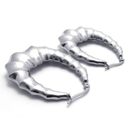 Hoorn Titanium Oorbellen