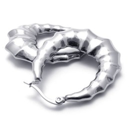 Hoorn Titanium Oorbellen