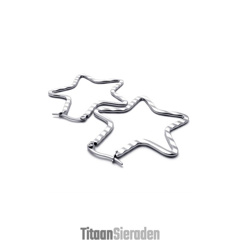 Ster Titanium Oorbellen Ster Titanium Oorbellen