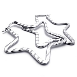 Ster Titanium Oorbellen