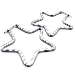 Ster Titanium Oorbellen
