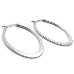 O-Ring Titanium Oorbellen