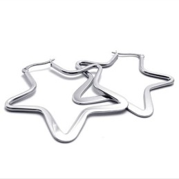 Ster Titanium Oorbellen