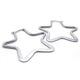 Ster Titanium Oorbellen