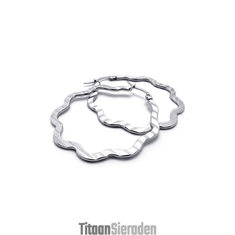 Zoete Titanium Oorbellen Zoete Titanium Oorbellen