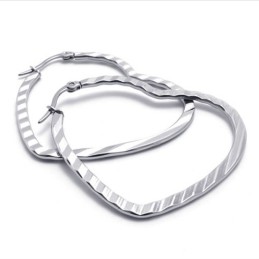 Hartvormige Titanium Oorbellen