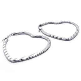Hartvormige Titanium Oorbellen