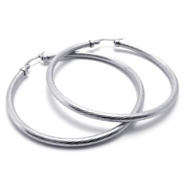 Ring Titanium Oorbellen