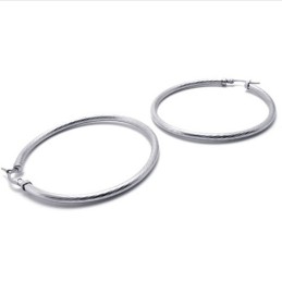 Ring Titanium Oorbellen