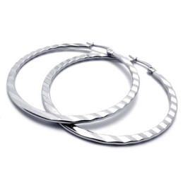 Ring Titanium Oorbellen